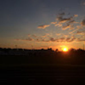 Meet your Posher, Izzy